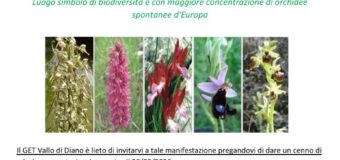 FESTA DELL’ESCURSIONISMO ALLA VALLE DELLE ORCHIDEE