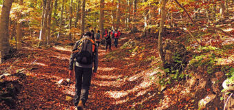 PROGRAMMA AUTUNNO 2026